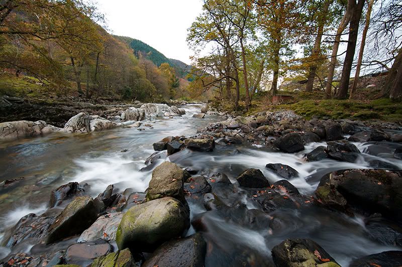 IMAGE: http://i292.photobucket.com/albums/mm24/adam61200/IMG_0018-1.jpg