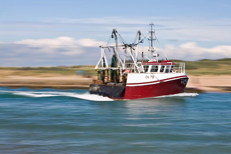 IMAGE: http://i292.photobucket.com/albums/mm24/adam61200/IMG_0060.jpg