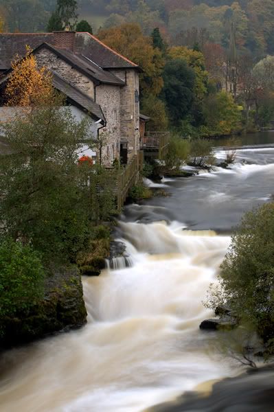 IMAGE: http://i292.photobucket.com/albums/mm24/adam61200/IMG_0068.jpg