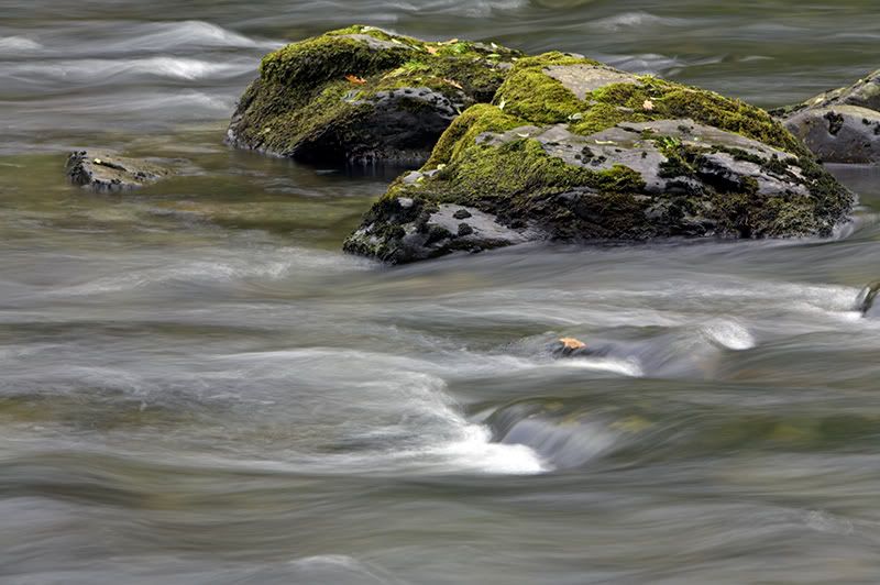 IMAGE: http://i292.photobucket.com/albums/mm24/adam61200/IMG_0193.jpg