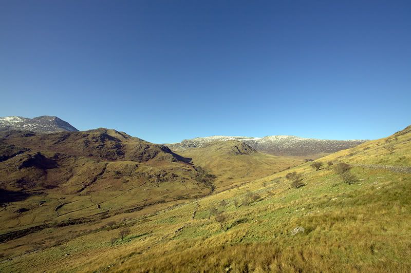 IMAGE: http://i292.photobucket.com/albums/mm24/adam61200/IMG_0257.jpg