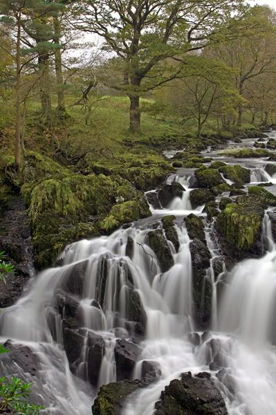 IMAGE: http://i292.photobucket.com/albums/mm24/adam61200/IMG_0265.jpg