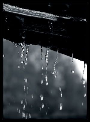 Rainy day Pictures, Images and Photos
