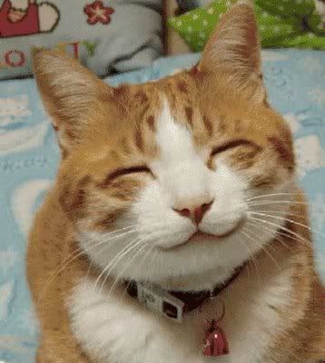 cat grin