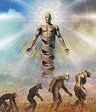 evolution.jpg image by bob_up