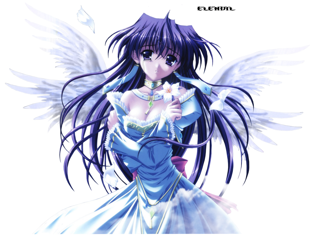 anime angel delineation