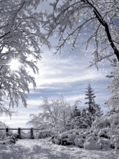 snowing Animated photo: Animated winter 275bfbe84d9a09be7b99c6f0fcea18f1.gif