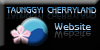 Taunggyi Website