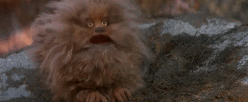 Fizgig.gif