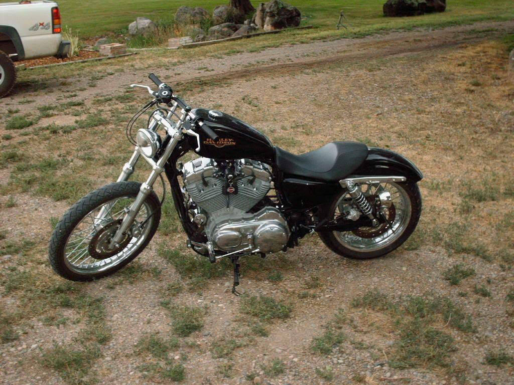How wide r u looking to go, there are good write ups on bikes with 180's... Here are a few pics of my 883L with a 180 rear tire.