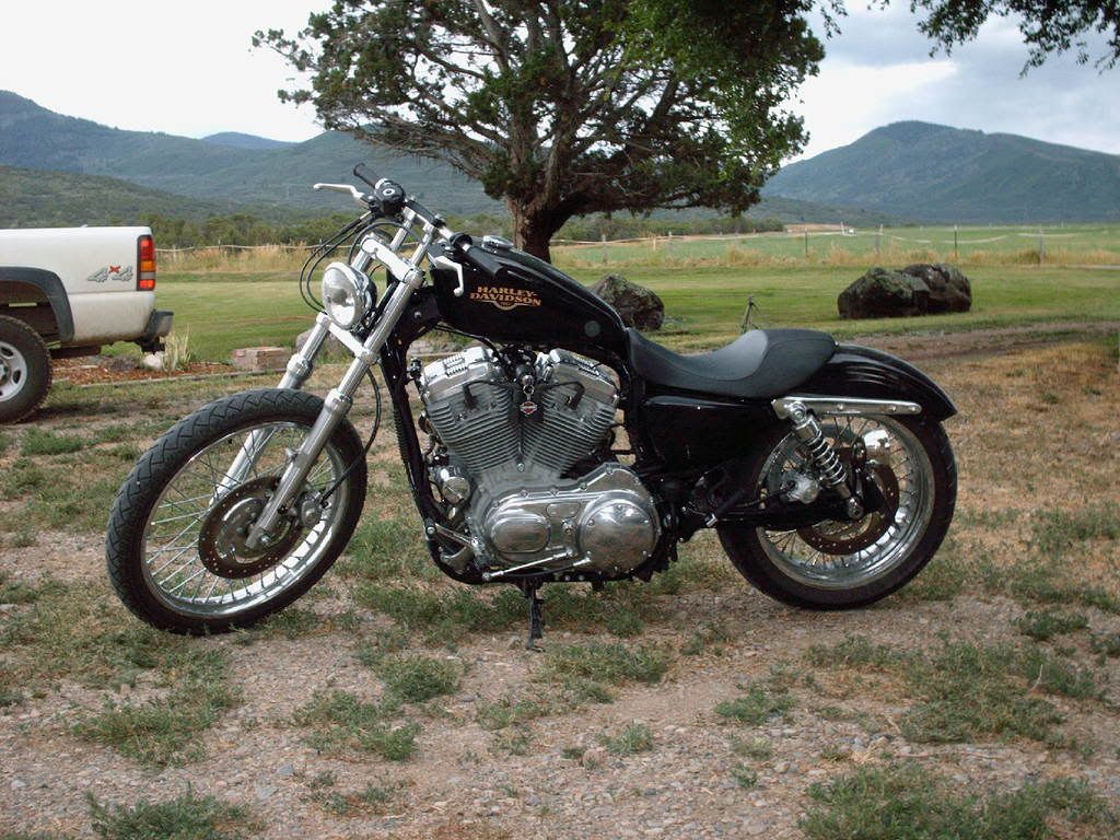 Here is what how the bike currently sits, i plan on getting a led sleds hardtail with 4" of stretch and hopefully get a 48 tank for it.