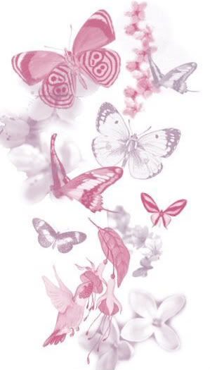 pink butterflies