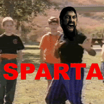 kung fu sparta