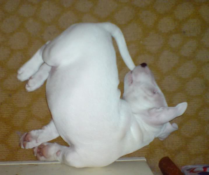 DSC01467.jpg