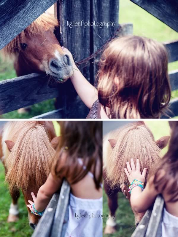 horse whispers