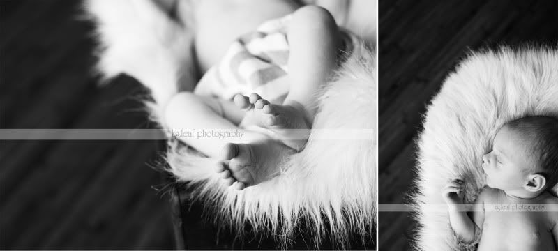 kg.leaf photography newborn baby