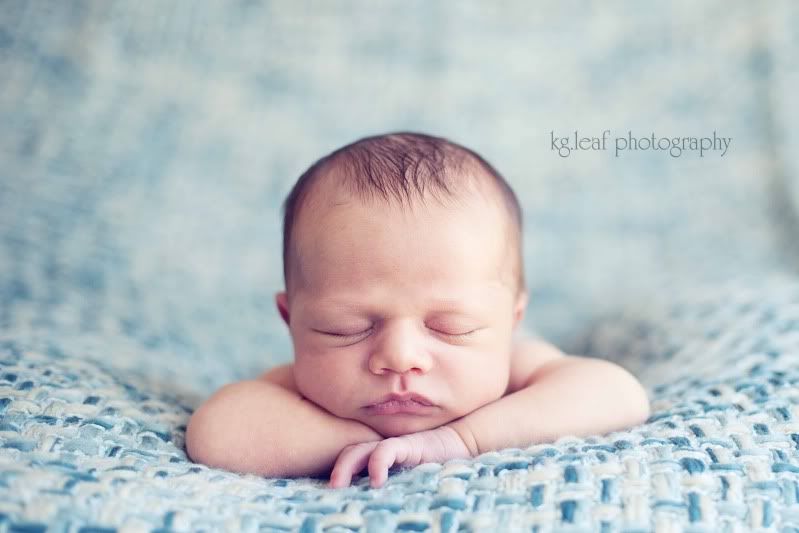 kg.leaf photography newborn boy