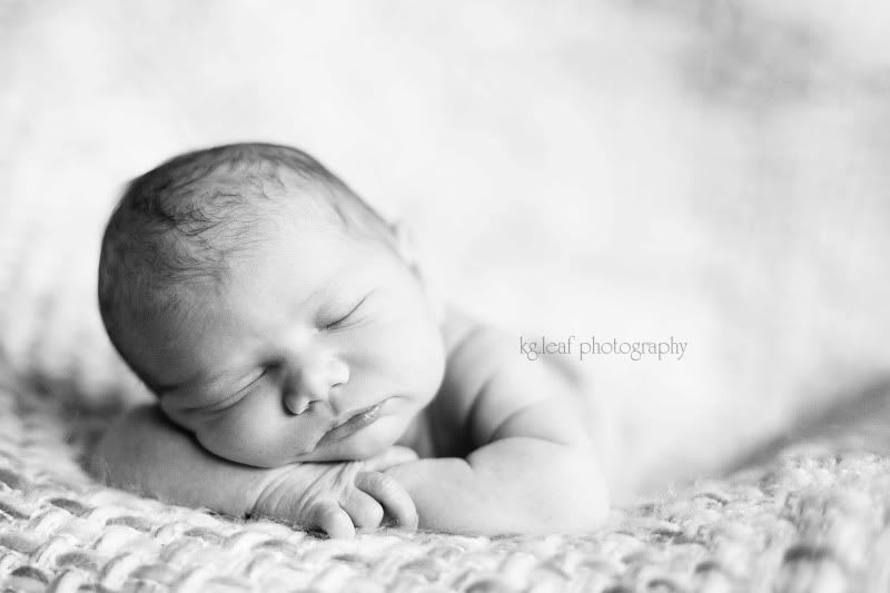 kg.leaf photography newborn girl