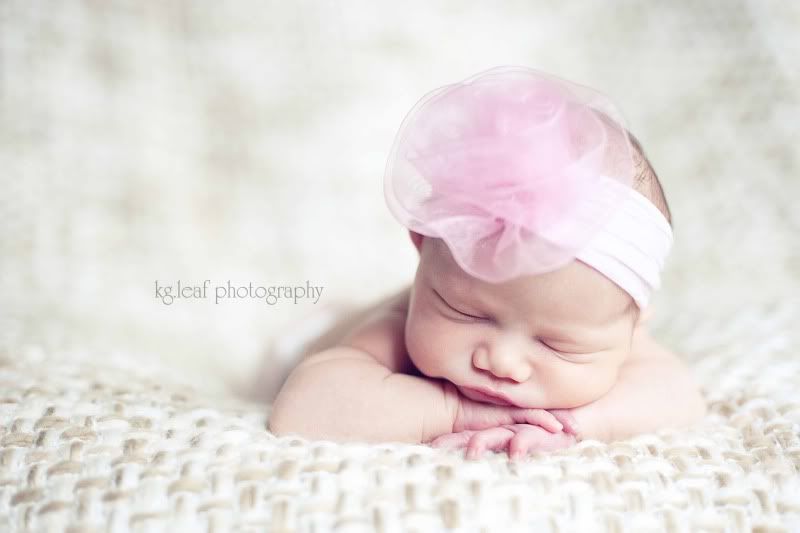 kg.leaf photography newborn in headband