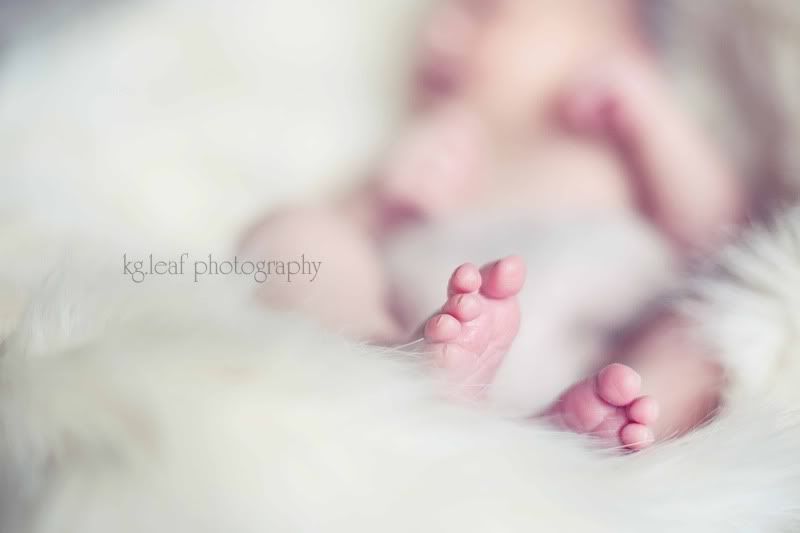 kg.leaf photography newborn toes