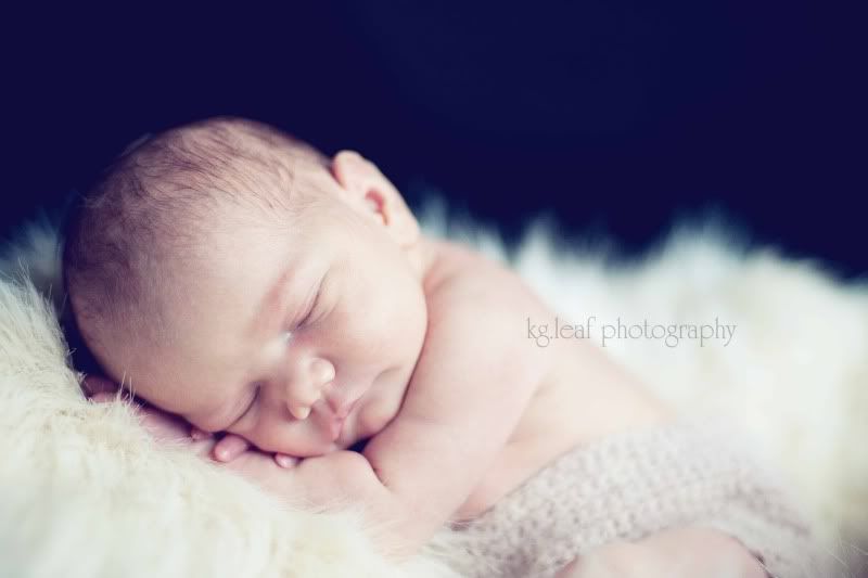 kg.leaf photography newborn in basket color