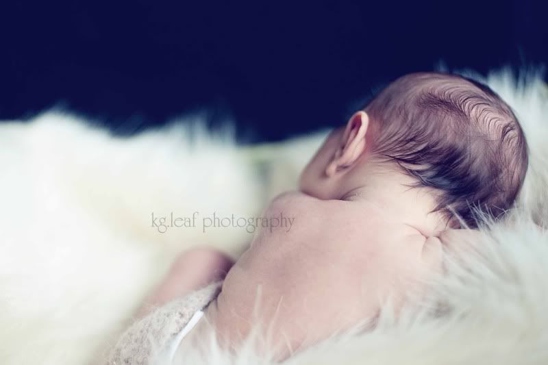kg.leaf photography newborn hair