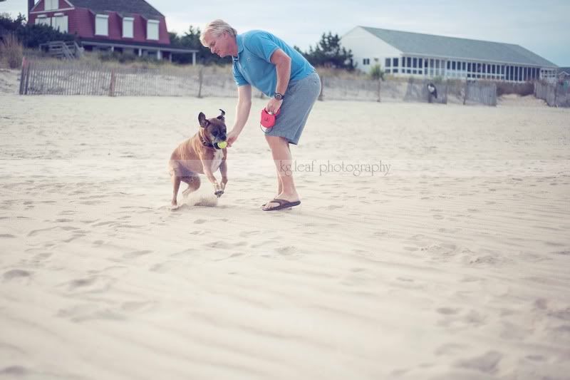 kg.leaf photography dog playing ball