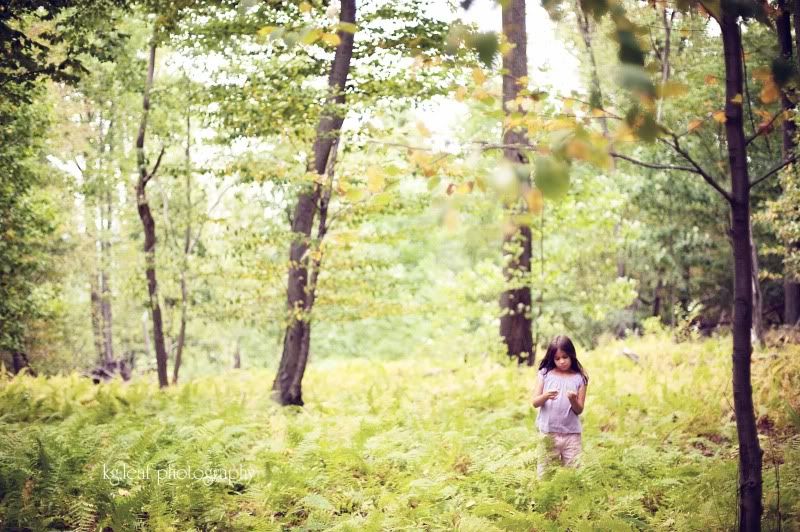 fern field