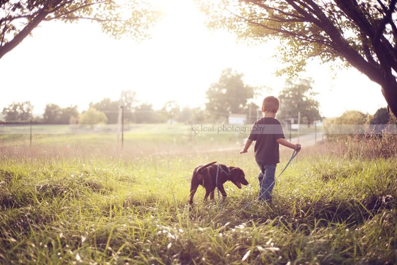 kg.leaf photography boy and his dog