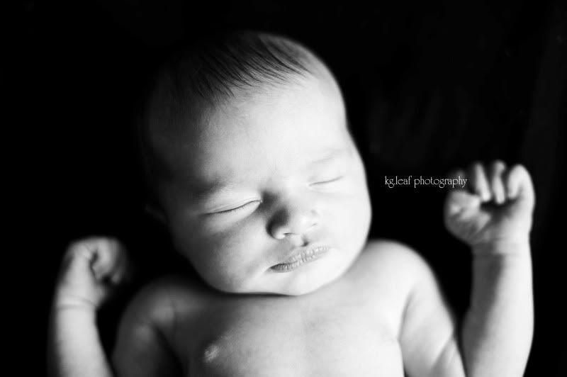 kg.leaf photography newborn