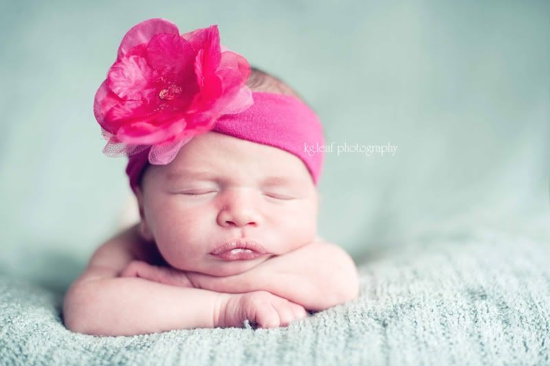 kg.leaf photography newborn pink