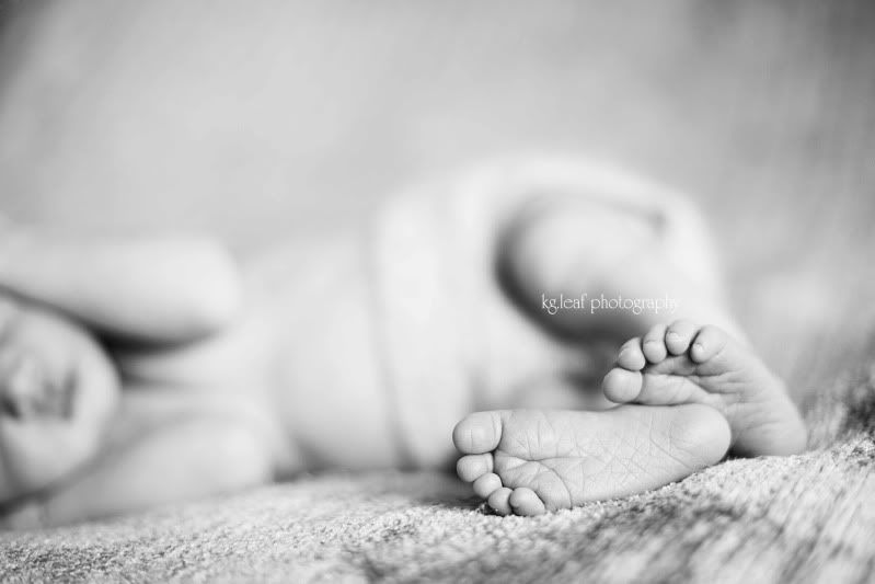 kg.leaf photography newborn feet
