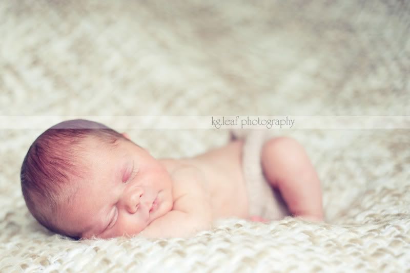 kg.leaf photography newborn boy