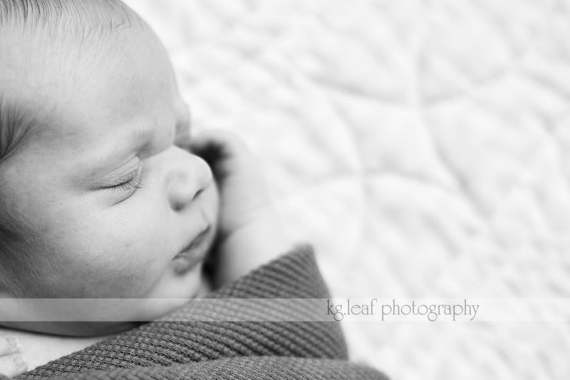 kg.leaf photography newborn lashes