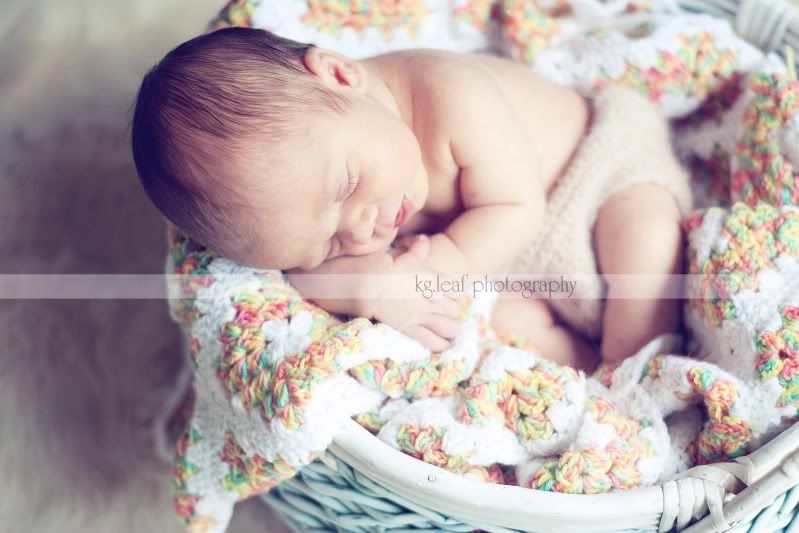 kg.leaf photography newborn and basket