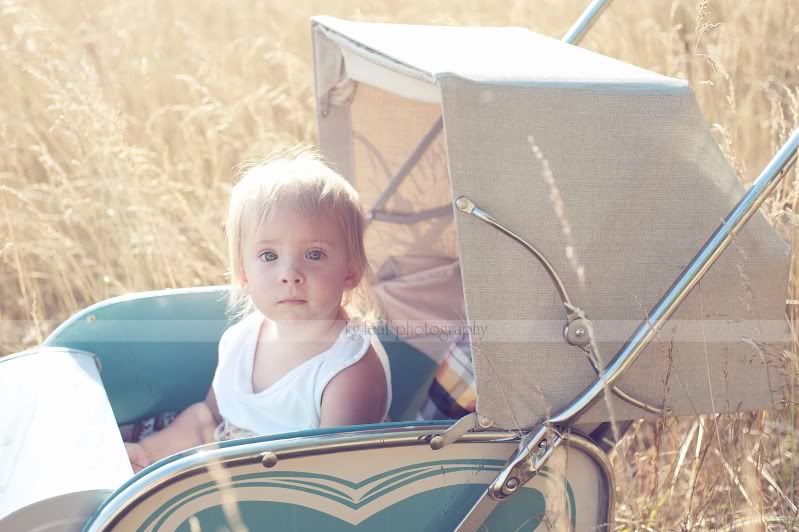 kg.leaf photography baby in carriage