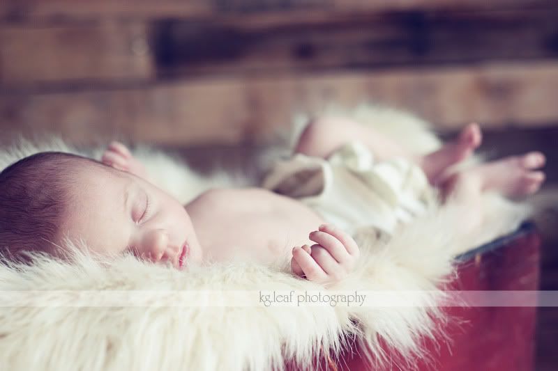 kg.leaf photography baby in fur