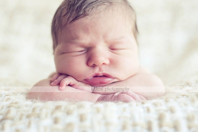 kg.leaf photography newborn face