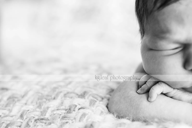 kg.leaf photography newborn baby fingers