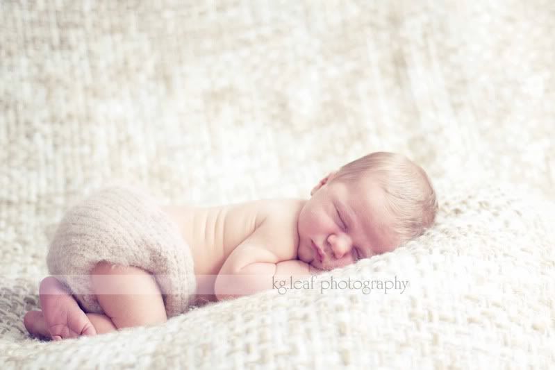 kg.leaf photography newborn angle