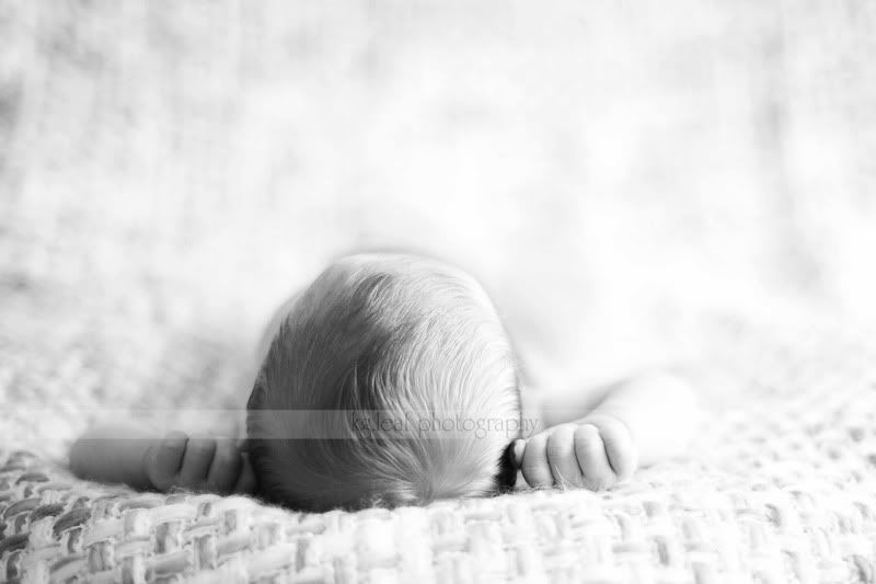 kg.leaf photography newborn head