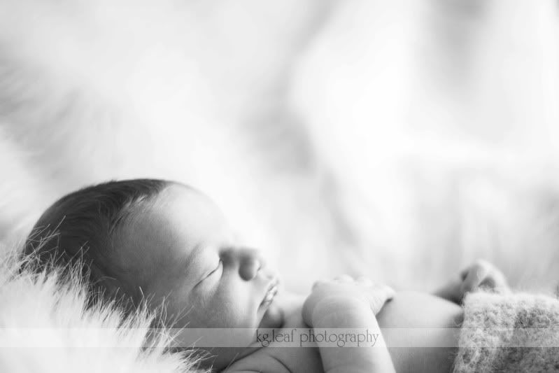 kg.leaf photography newborn profile