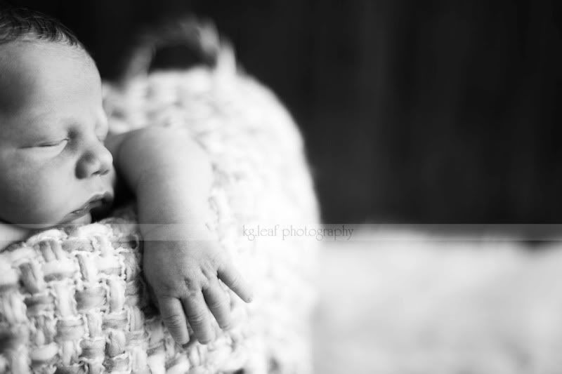 kg.leaf photography newborn hand