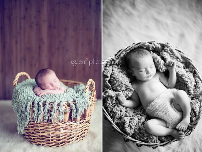 kg.leaf photography newborn basket