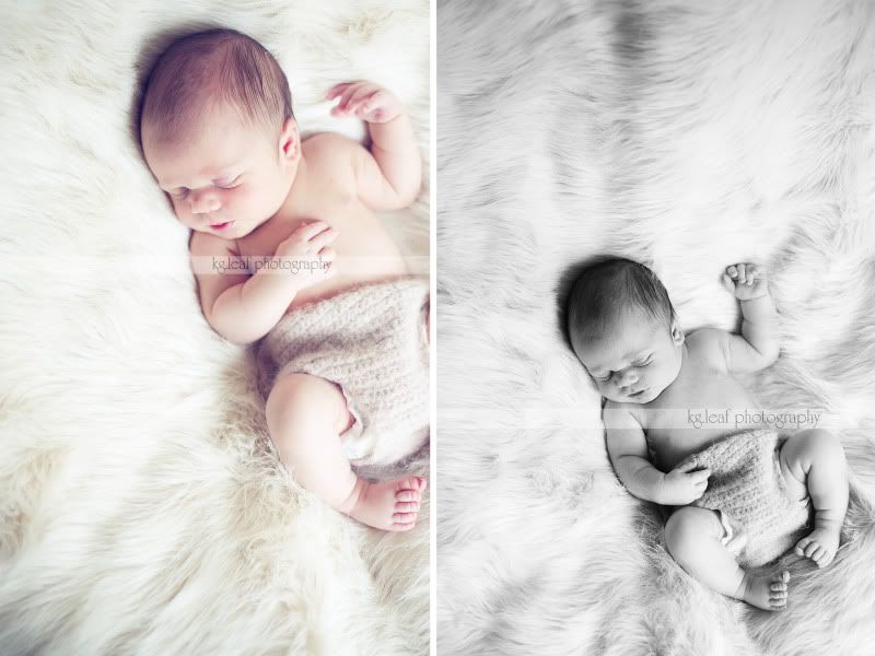 kg.leaf photography newborn on fur