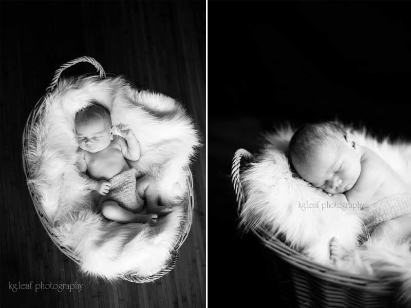kg.leaf photography newborn in basket