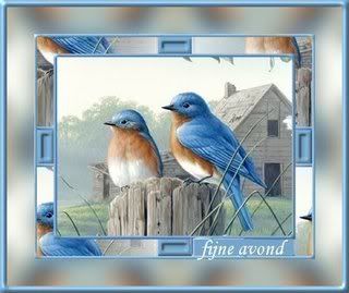 avond Pictures, Images and Photos