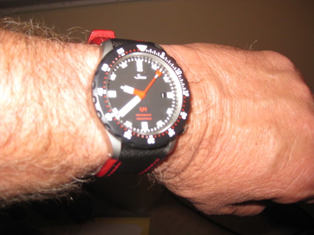 IMG_2432.jpg