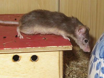 Moritz4.jpg