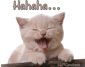 Gato_Rir_Hahaha.gif picture by Glendiusky